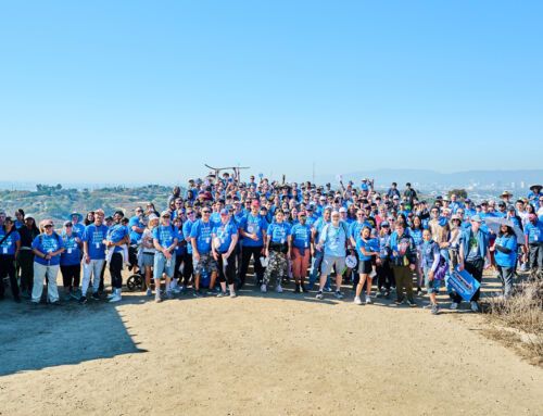 Over 600 People Walk for Foster Care: Hike With Your Heart 2024 Raises $80,000!